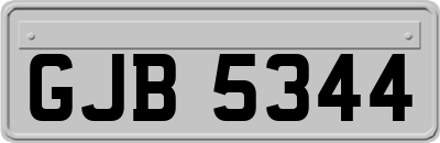 GJB5344