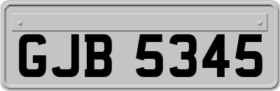 GJB5345