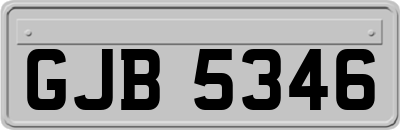 GJB5346