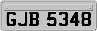GJB5348
