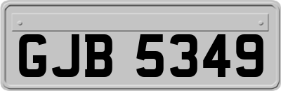 GJB5349