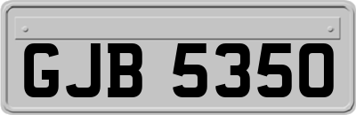 GJB5350