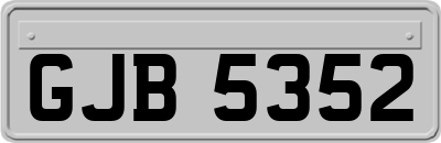 GJB5352
