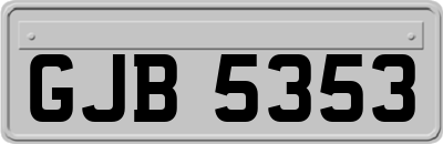 GJB5353
