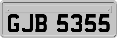 GJB5355