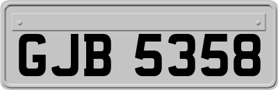 GJB5358