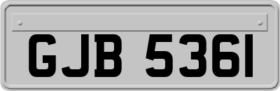 GJB5361