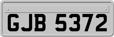 GJB5372