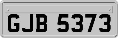 GJB5373