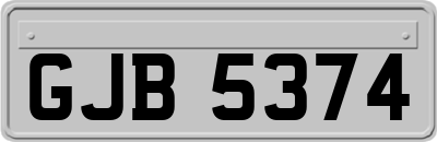 GJB5374