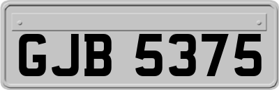 GJB5375