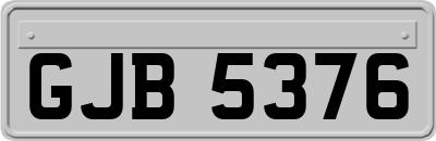GJB5376