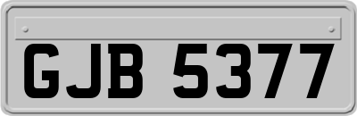 GJB5377