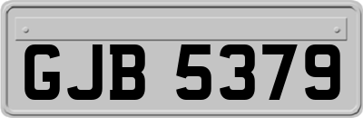 GJB5379