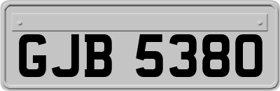 GJB5380
