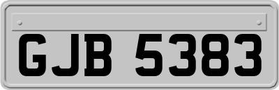 GJB5383