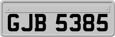 GJB5385
