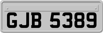 GJB5389