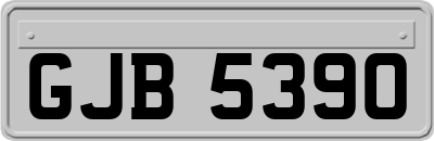 GJB5390