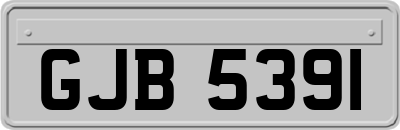 GJB5391