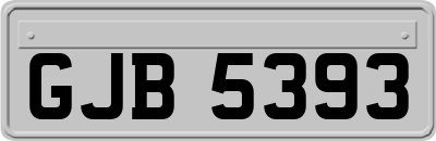 GJB5393