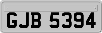 GJB5394