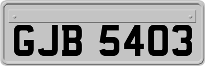 GJB5403