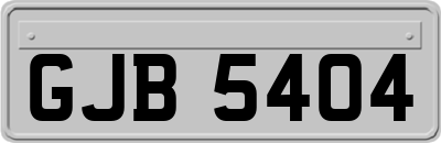 GJB5404