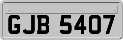 GJB5407