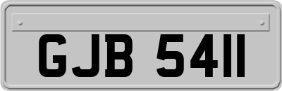 GJB5411