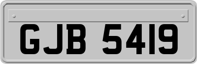 GJB5419