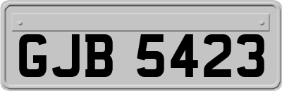GJB5423