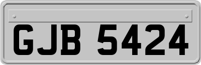 GJB5424