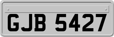GJB5427