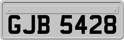 GJB5428