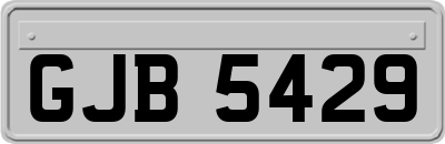 GJB5429
