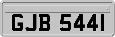 GJB5441