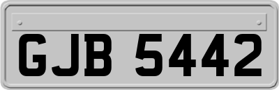 GJB5442