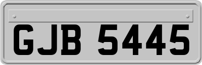 GJB5445