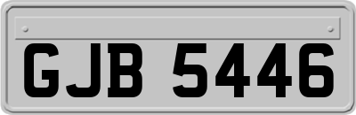 GJB5446