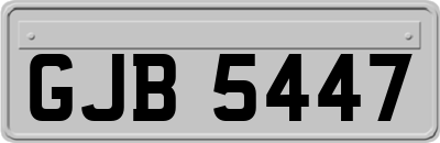 GJB5447