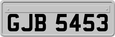 GJB5453