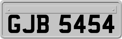 GJB5454