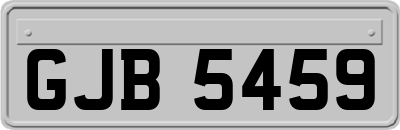 GJB5459