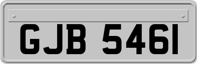 GJB5461