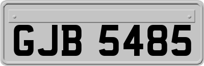 GJB5485