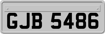 GJB5486