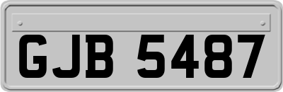 GJB5487