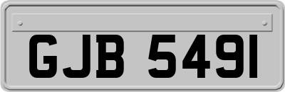 GJB5491