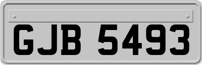 GJB5493